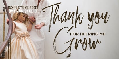 Inspecture Brush Font Font Poster 2