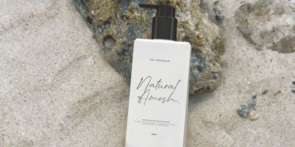 Origin Signature Font Poster 2