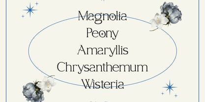 Solace Fleur Font Poster 3