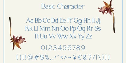 Solace Fleur Font Poster 4