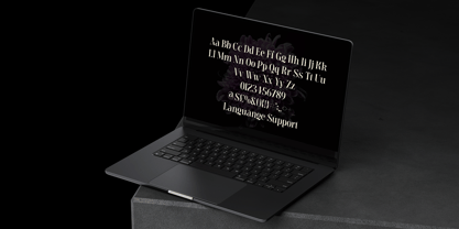 Meagre Display Font Poster 12