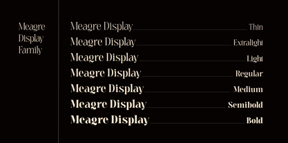 Meagre Display Font Poster 2