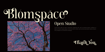 Meagre Display Font Poster 6