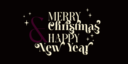 Meagre Display Font Poster 9