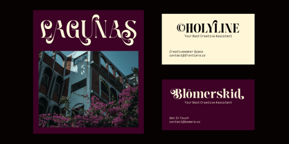 Meagre Display Font Poster 8