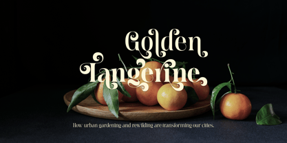 Meagre Display Font Poster 7