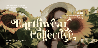 Meagre Display Font Poster 4