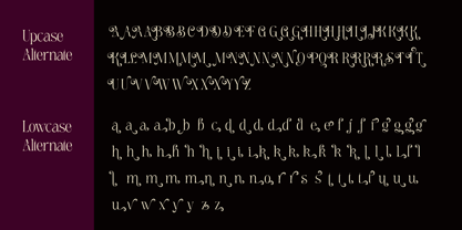 Meagre Display Font Poster 13