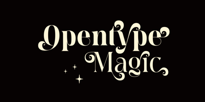 Meagre Display Font Poster 5