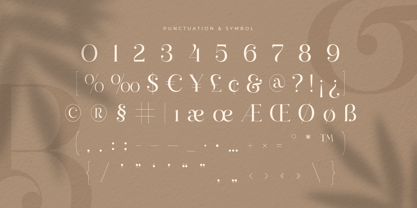 Valeska Font Poster 9