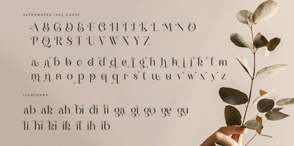 Valeska Font Poster 11