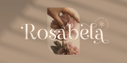 Valeska Font Poster 2