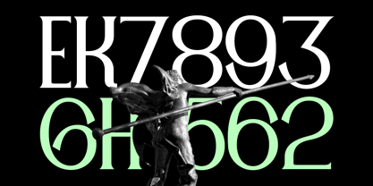 Requeltte Display Font Poster 5