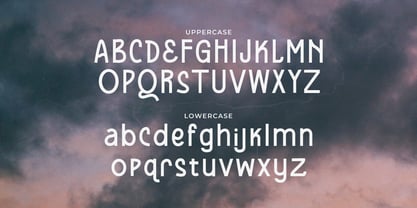 Dandely Font Poster 2