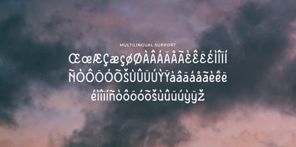 Dandely Font Poster 4