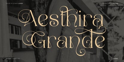 Luxany Display Pro Font Poster 2