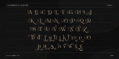 Luxany Display Pro Font Poster 5