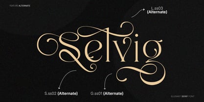 Luxany Display Pro Font Poster 6