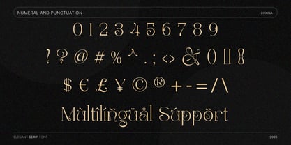 Luxany Display Pro Font Poster 4