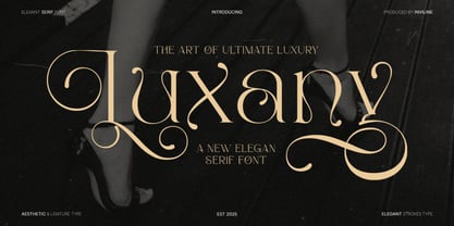Luxany Display Pro Font Poster 1