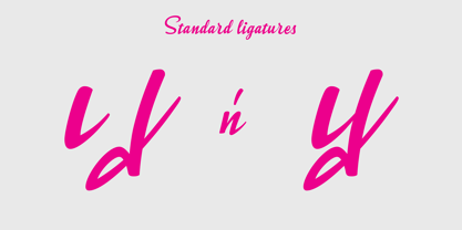 Stella Splendid Special Font Poster 7