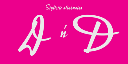 Stella Splendid Special Font Poster 8