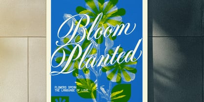 GW Cainley Font Poster 13