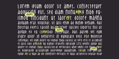 Kasstengels Font Poster 4