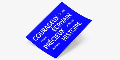 Haniva Font Poster 7