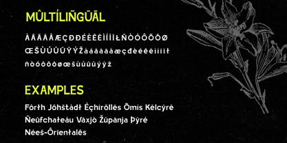 Jinko Pro Font Poster 7