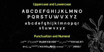 Jinko Pro Font Poster 8