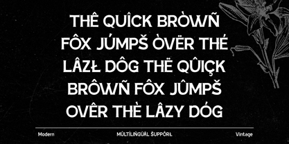 Jinko Pro Font Poster 2