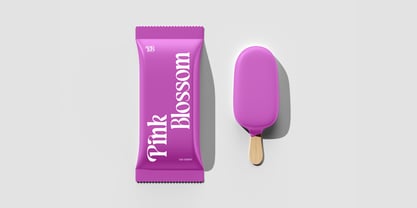 Kiban Retro Font Poster 5