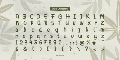 Zelioon Wild Font Poster 10