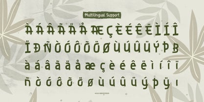 Zelioon Wild Font Poster 11
