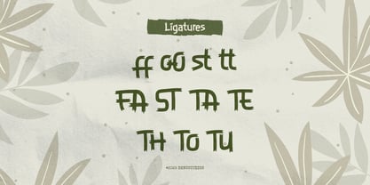 Zelioon Wild Font Poster 12