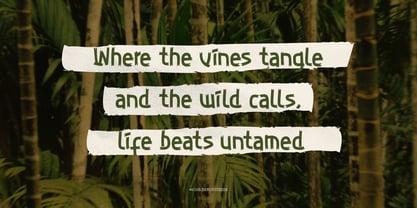 Zelioon Wild Font Poster 2