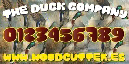 The Duck Company Font Poster 6