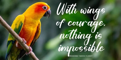 Tropical Crystals Font Poster 2