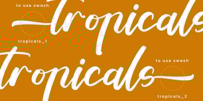 Tropical Crystals Font Poster 6