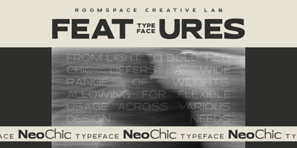 Neo Chic Font Poster 5