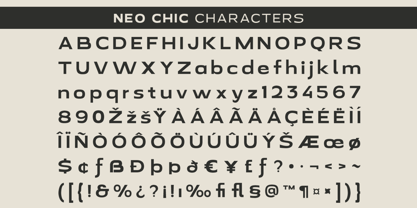 Neo Chic Font Poster 10