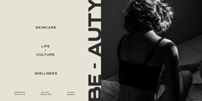 Neo Chic Font Poster 6