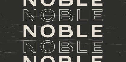 Neo Chic Font Poster 9