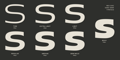 Neo Chic Font Poster 7