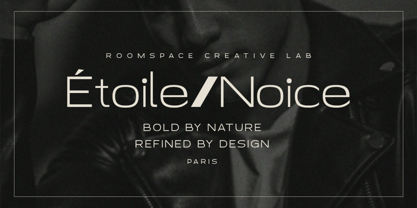 Neo Chic Font Poster 11