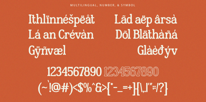 Second Choice Font Poster 13