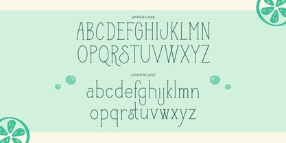 Cider Lime Font Poster 2