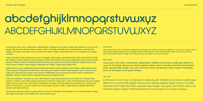 Defused Font Poster 4