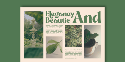 Dilley Helia Font Poster 3